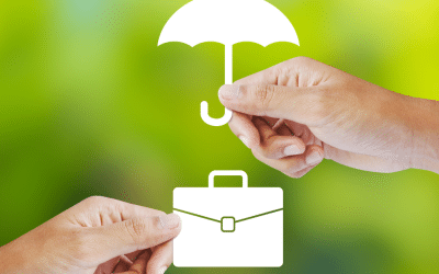 Business Insurance in Spain