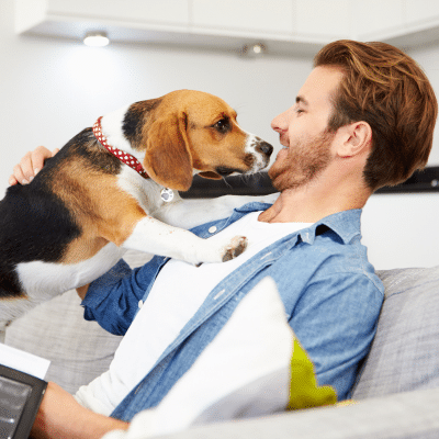 Dog with owner getting pet insurance
