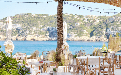 Comprehensive Guide to Insurance for Cafés, Bars, and Restaurants In Spain: What You Need to Know